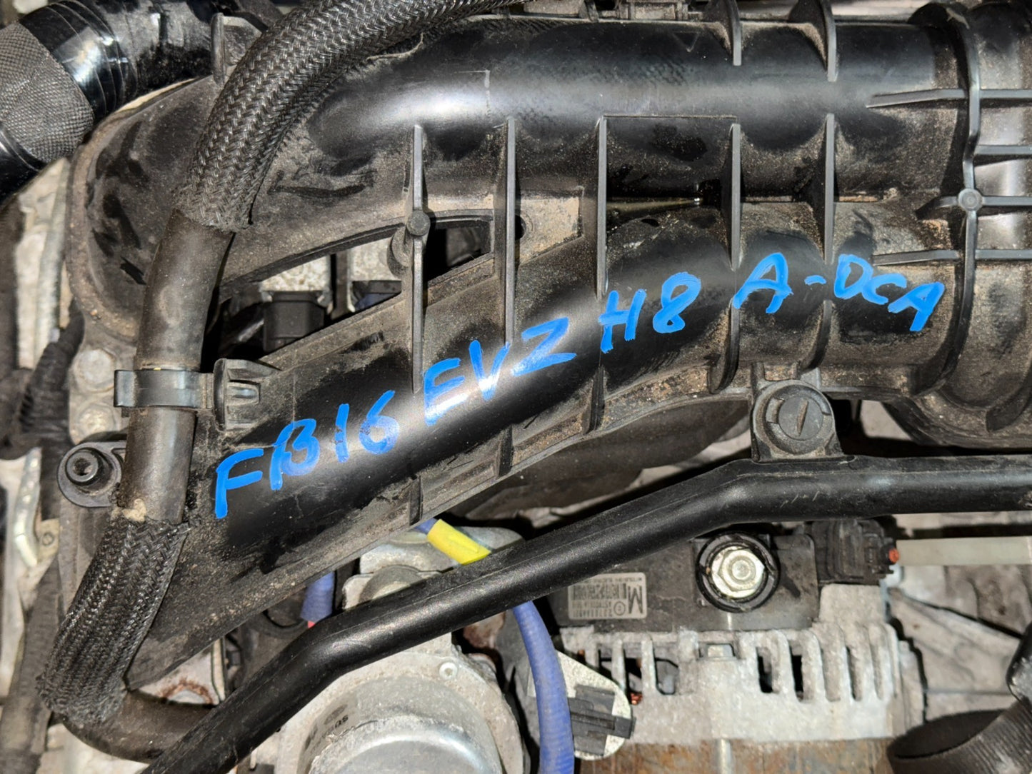 Image #4