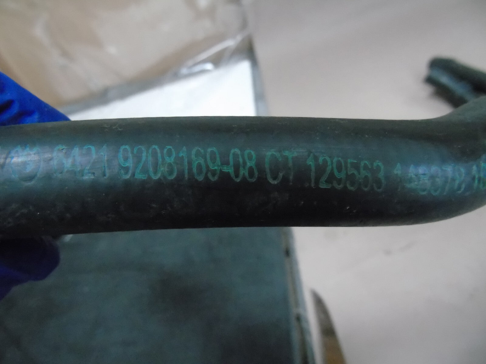 Image #5