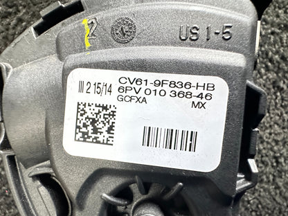 Image #5