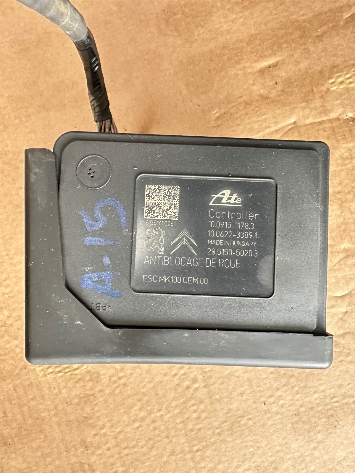 Image #2