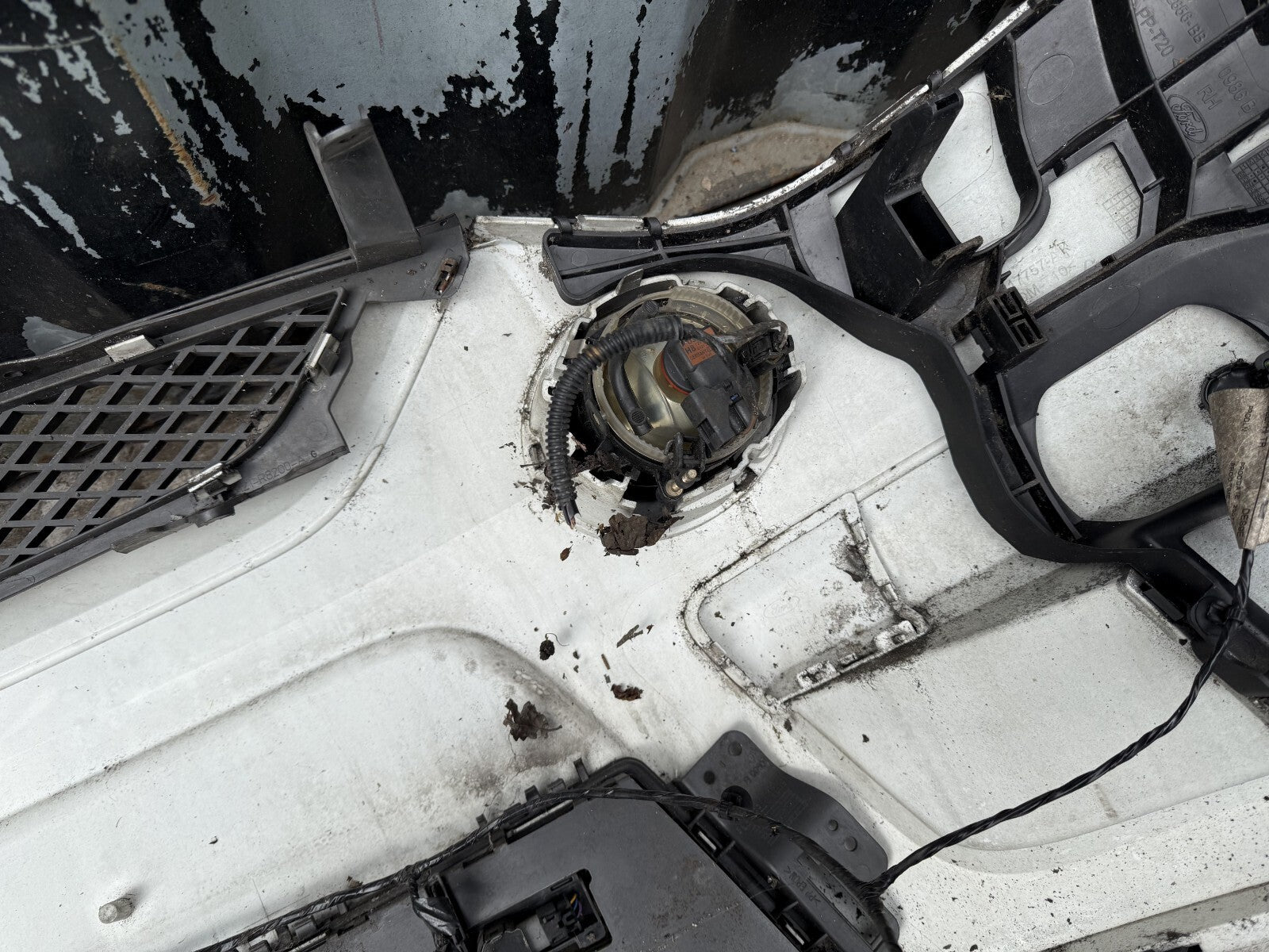 Image #14