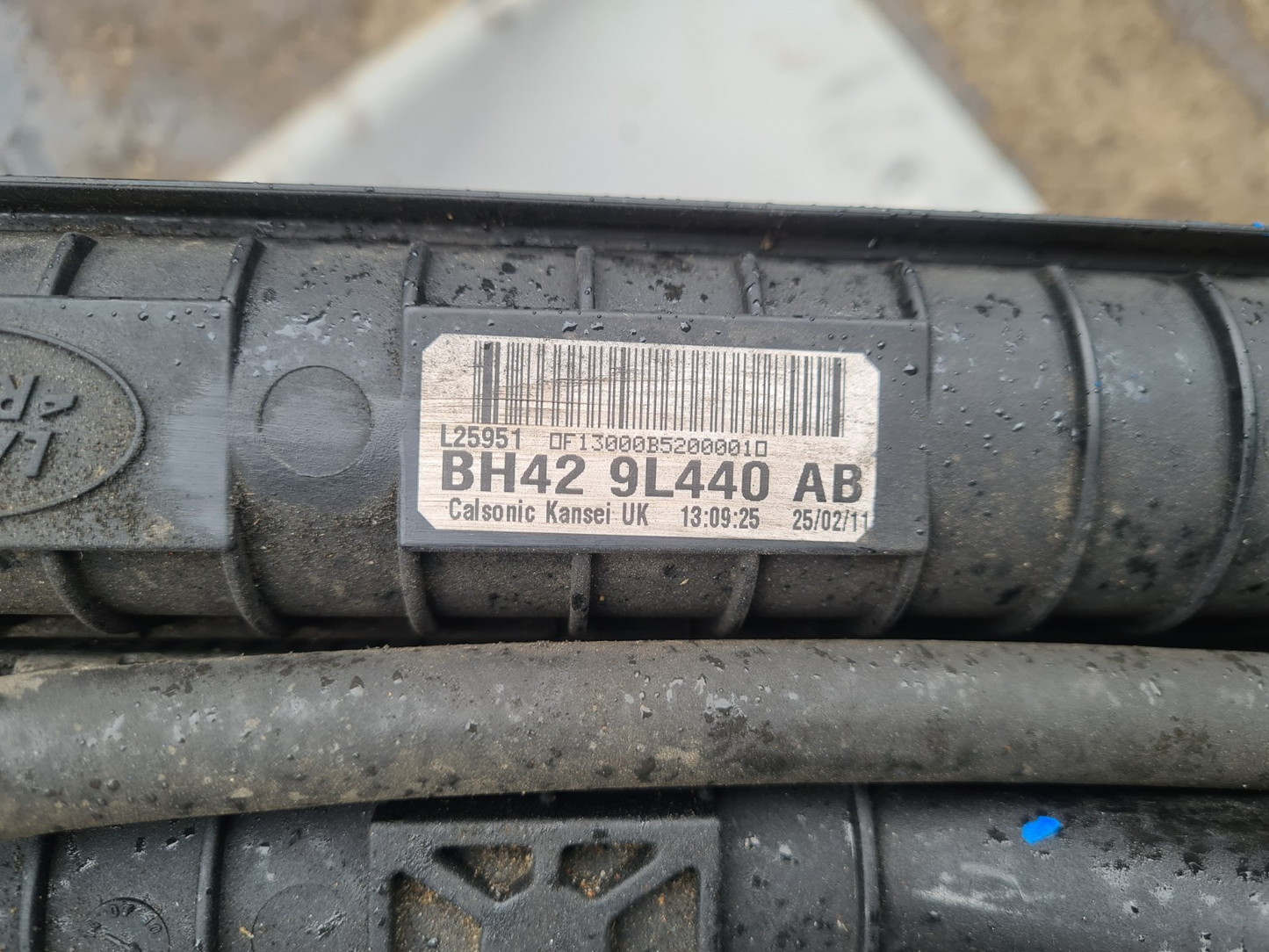 Image #5