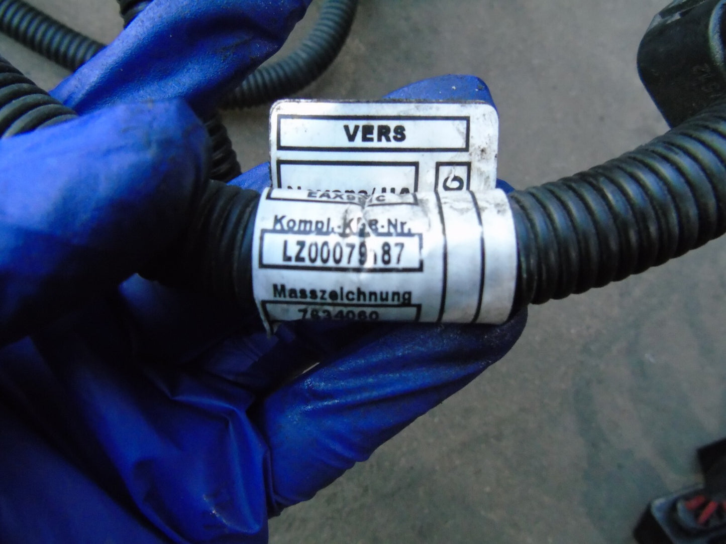 Image #8