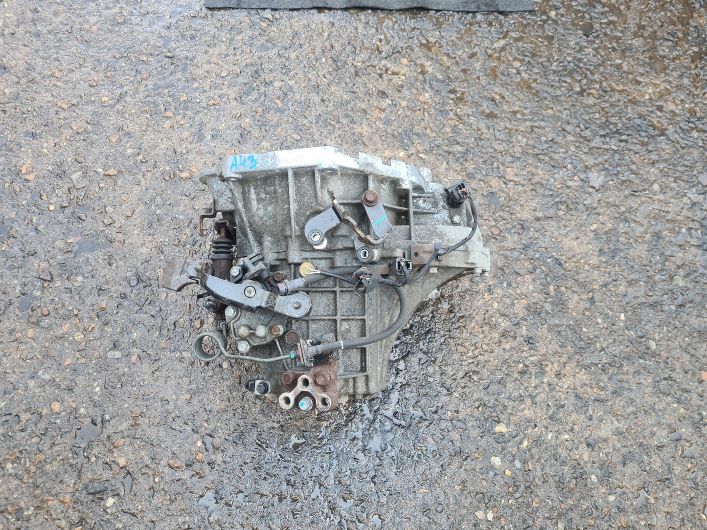 Image #2