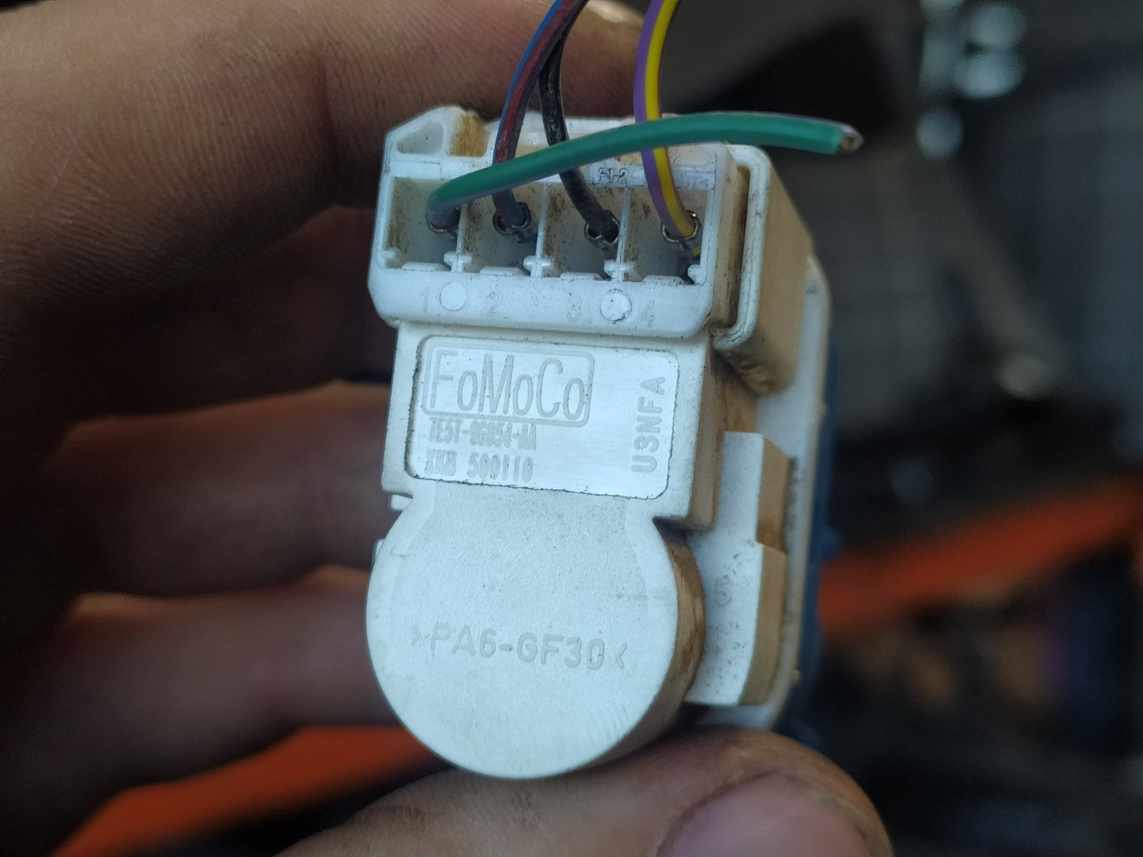 Image #3