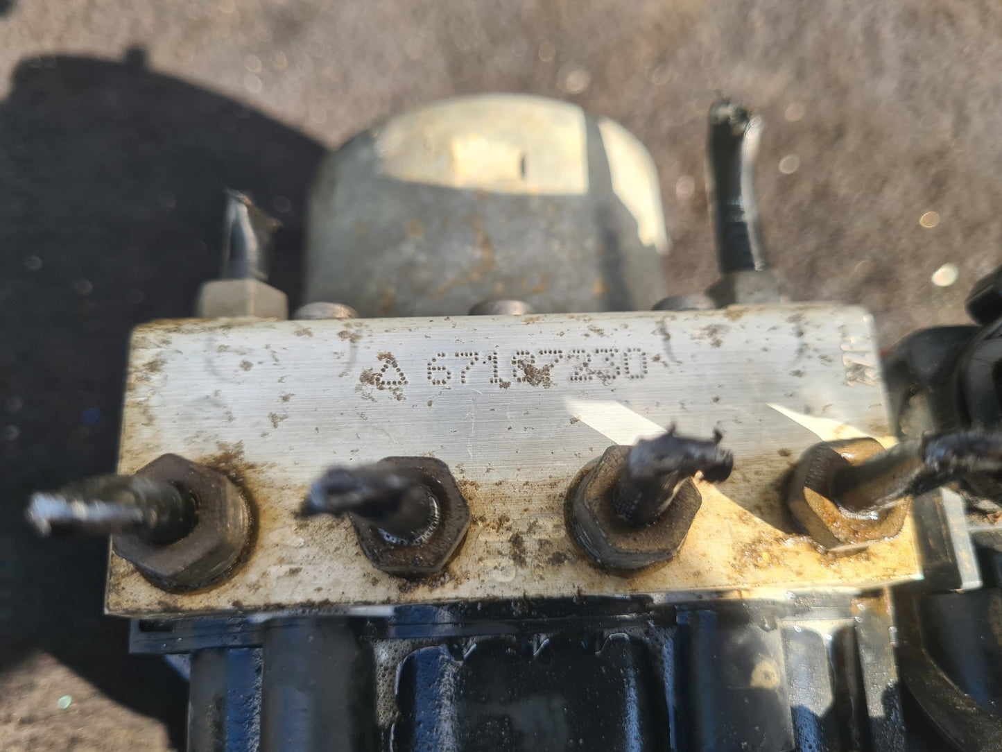 Image #4