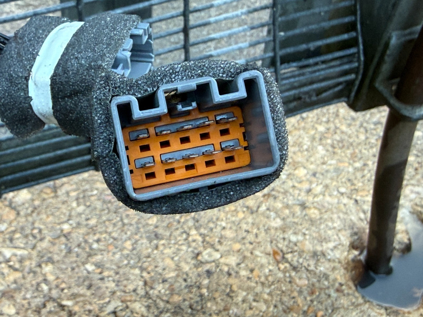 Image #7