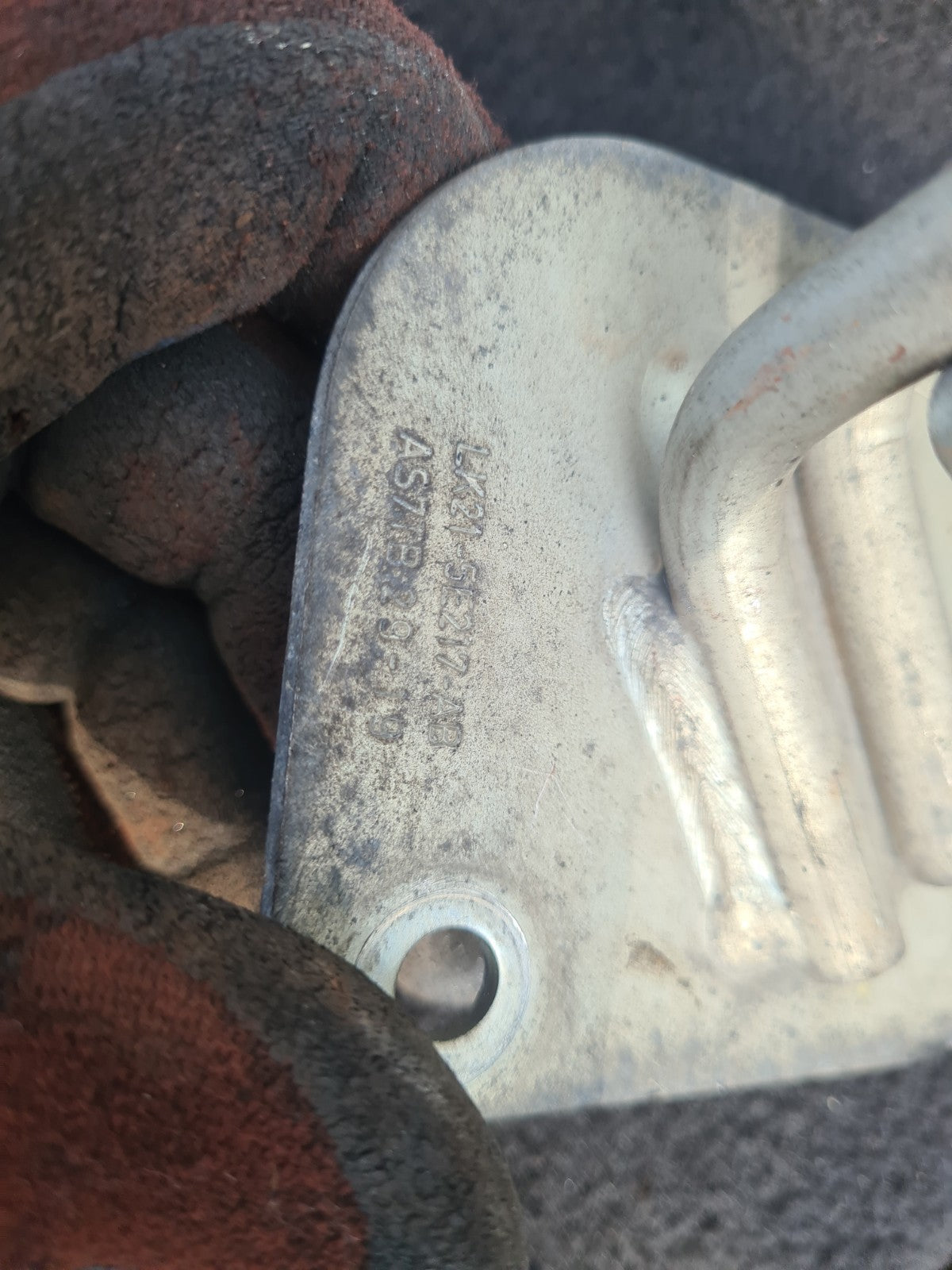 Image #4