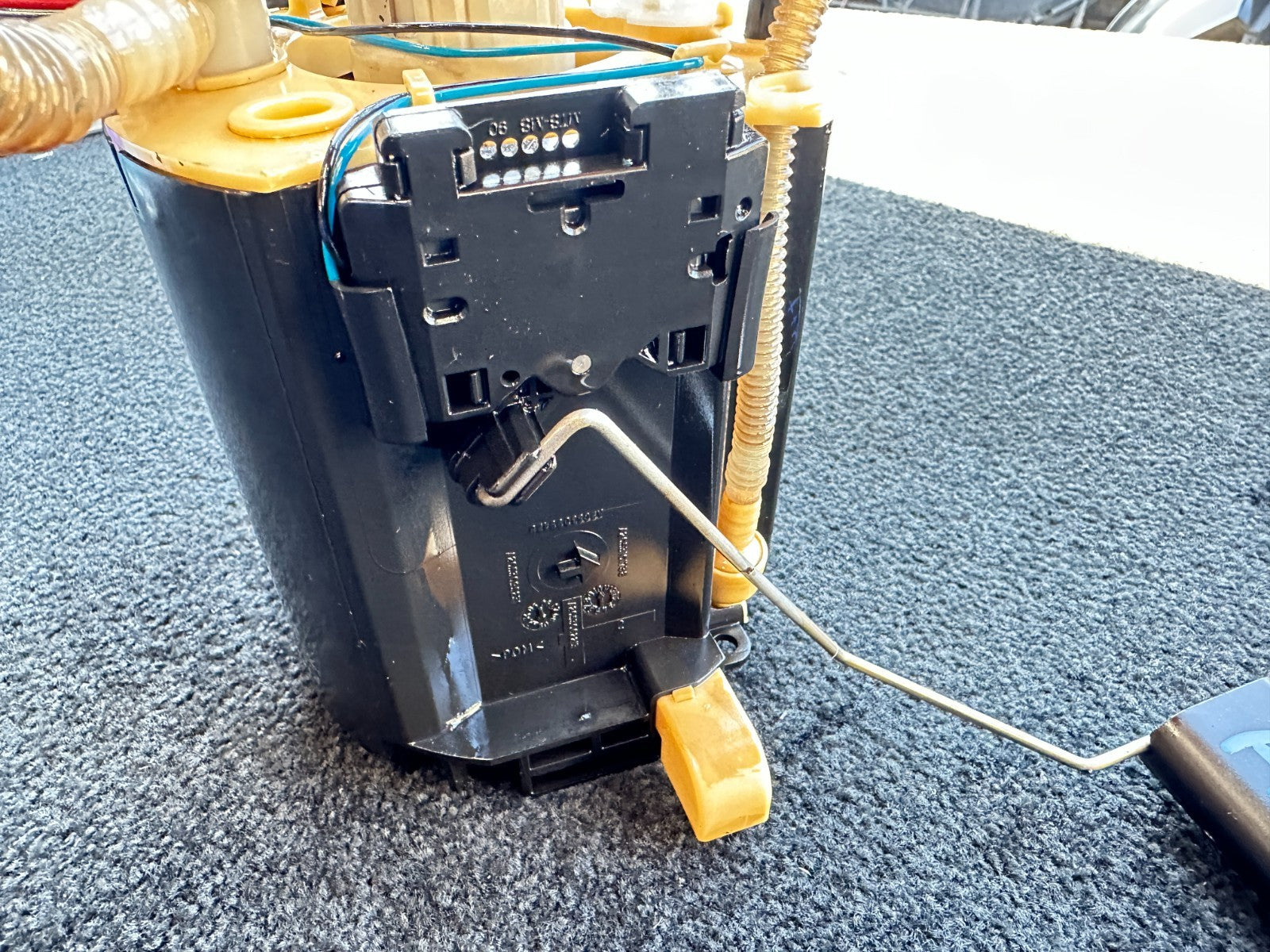 Image #2