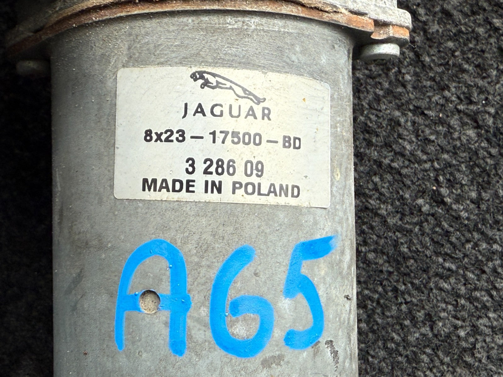Image #6