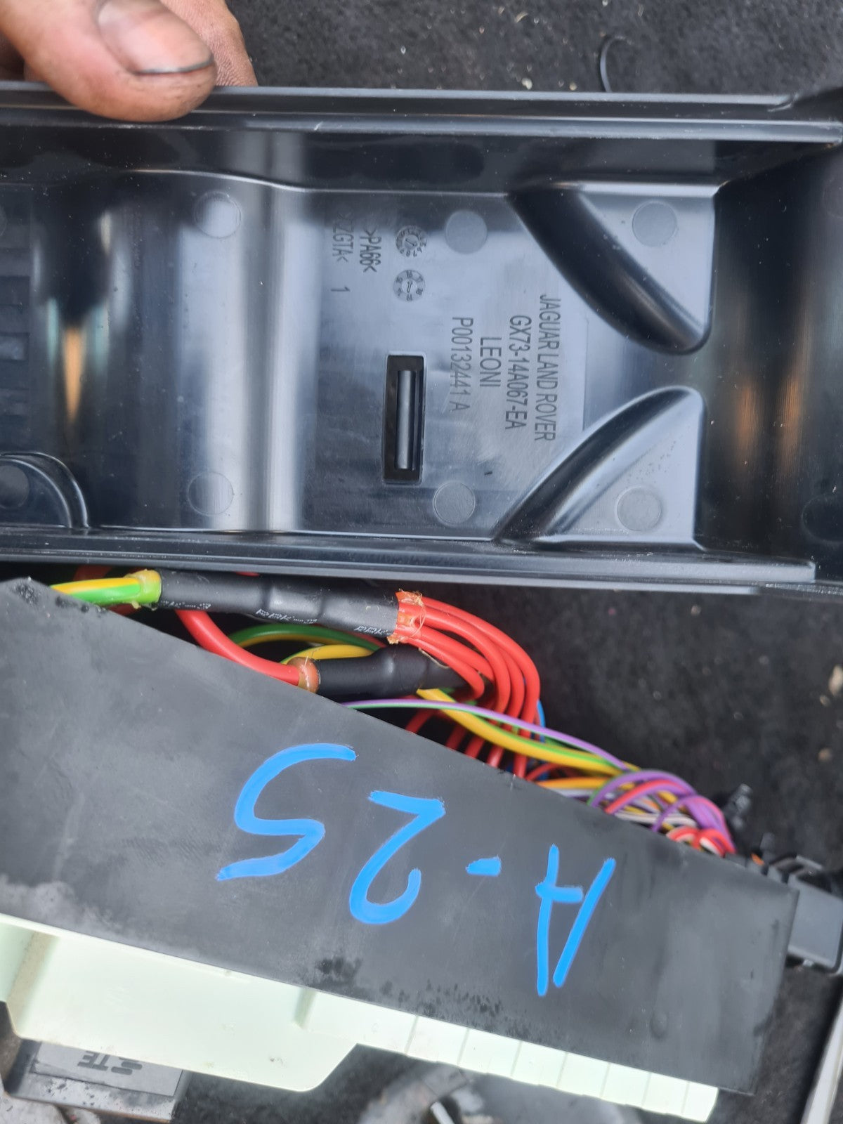 Image #4